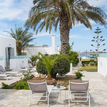 Navi A2 Brand New In ナウサ