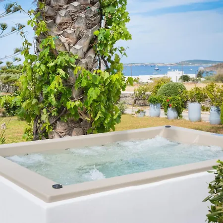 Navi A2 Brand New In ナウサ