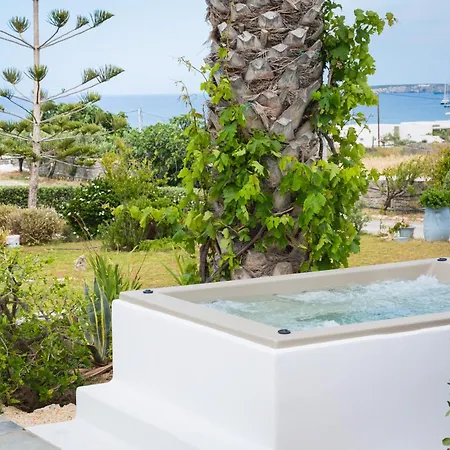 Navi A2 Brand New In *