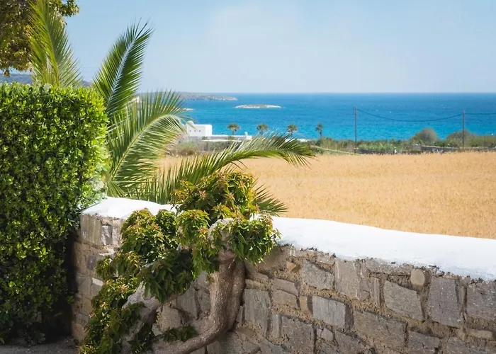 Navi A2 Brand New In 纳乌萨